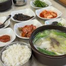 외도조경식물원 | 4월 거제도 여행 후기, 1박 2일🌸(2)