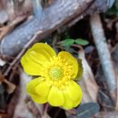 원일초등학교 이미지