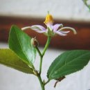 사각하늘 이미지