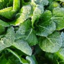 도혜원민박 이미지