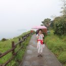 강정동-7 이미지