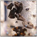 종덕농장 이미지