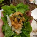 선조네 우렁쌈밥 이미지