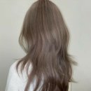 이젤헤어 이미지