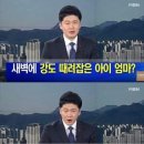 숲속작은개울 이미지