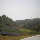 고향산천 이미지