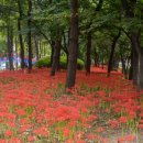 활천공원 이미지