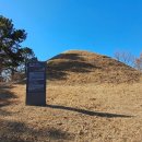 동리 고분군(東里 古墳群) Daum카페