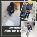 조이애견 | 부산, 양산, 김해, 조이애견방문훈련, 배변 실수 강아지 훈련 후기