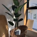 메종드씨펜션 이미지