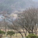 더존프롤로의원 이미지