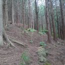 안창약수터 이미지