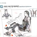 오투존 이미지