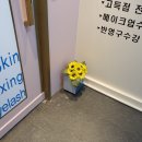 엘렌헤어샵 | 동탄속눈썹펌 친구들도 극찬했어요