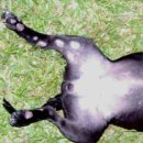 쓰담쓰담 동물병원 이미지