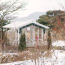 안성면105 네이버블로그