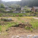 옥천면사무소 이미지