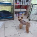 녹번동물병원 이미지