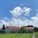 슬로메이 이미지