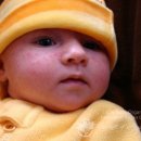 태열농장 이미지