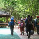 사리울근린공원 이미지