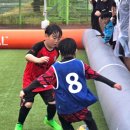 일레븐 - 송파구 새말로12길 16 | 일레븐