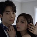 (주)비헤이메이드 | 웨딩 플래닝 업체 계약 후기 (신부야, 웨딩프렌즈, 베리굿, 와이즈)