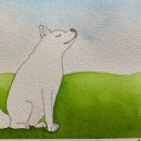 느낌있개 이미지