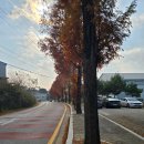 느티나무사우나 | 파주 가볼만한 유적지, 파주장릉