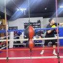 허리케인복싱클럽 이미지