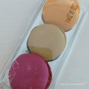 지에스25 합덕운산점 | GS25편의점 펭수마카롱 두가지 다 먹어본 후기! 아메리카노 or 쫀득쿠키 증정 이벤트 🐧