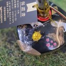 파크골프 (강좌번호 : 10 ) | 국산파크골프채 피닉스 불사조 파크골프채 금 거북이 엄마 선물 후기