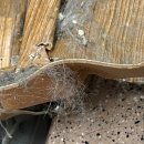 다함부동산중개 | 진주 자취