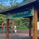 [여행·나들이] &#34;보성녹차휴게소_광양방향 &#34; 작지만 알찬 휴게소 🛣️🍵