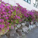 초원가든 이미지