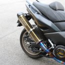 금강올갱이 이미지