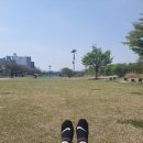 오산천 | [경기도 피크닉 / 캠프닉] 오산천에서 캠프닉 리얼후기 !