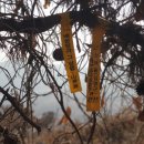 용산-111 이미지