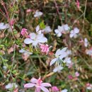 봉곡동179 이미지