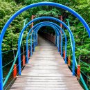 솔마루길 신선산 이미지