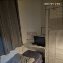 둥둥스테이