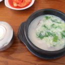 소나무풍경 이미지