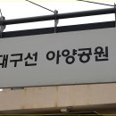 대구선아양공원 이미지
