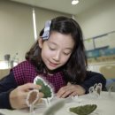 영재교육사 네이버블로그