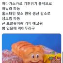 에쏠로지 이미지