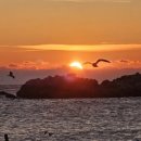 YH프라자 이미지