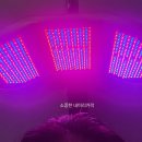 파워메디칼 | 부산 서면 원형탈모 두피 관리 후기 : 웰킨두피탈모센터