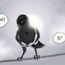 킴스오토 이미지