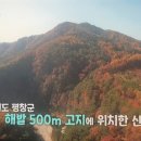 장미펜션 이미지