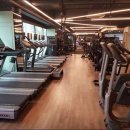 렉스휘트니스 이미지